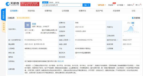 信息系统集成服务 构建企业数字化转型的核心桥梁
